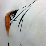 Gannet Tears (30x20cm)
